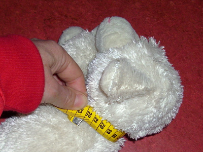 Hundhalsband Weite Messen