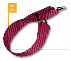 Hundehalsband mit Zugstopp