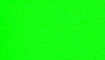 neongrün title=