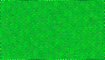 neon-grün title=