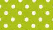 kiwi-weiß title=