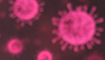 Virus pink title=