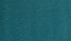 petrol title=