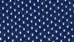 navy title=