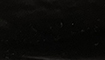 schwarz title=