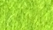hellgrn title=