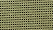 oliv title=