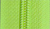 kiwi title=