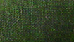 dunkelgrün title=