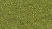 hellgrün title=