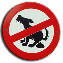 Hunde dürfen hier nicht!