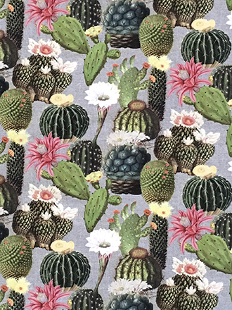 Kaktus Canvas