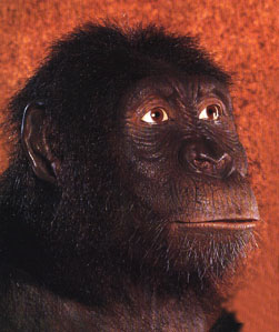 Ramapithecus