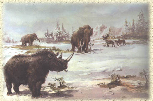 Jagdbeute der Neandertaler